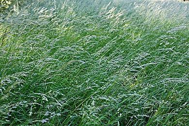 《来自深渊：朝向黑暗的双星》开场影片公布 今日发售